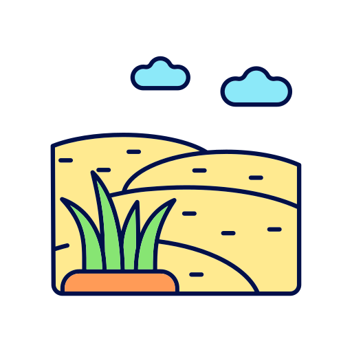 Lawn Area
